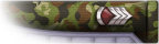 Staff Sergeant