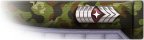 Sergeant Major